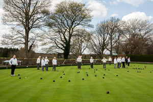 A Very Busy Green